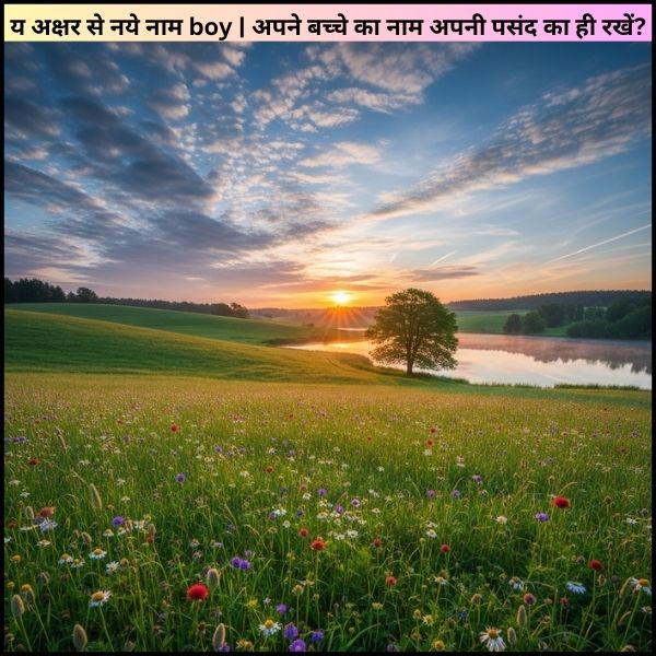 य अक्षर से नये नाम boy